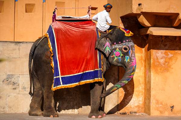 UNESCO World Heritage Site: Historical Amber Fort in India's Jaipur