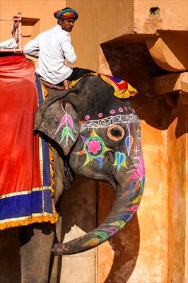 UNESCO World Heritage Site: Historical Amber Fort in India's Jaipur