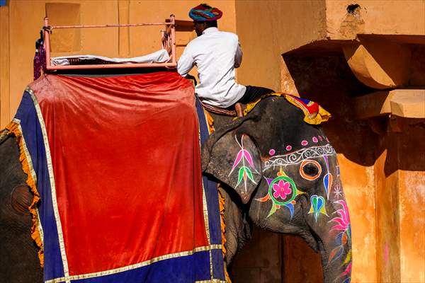 UNESCO World Heritage Site: Historical Amber Fort in India's Jaipur