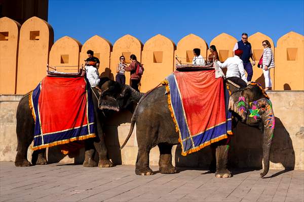 UNESCO World Heritage Site: Historical Amber Fort in India's Jaipur