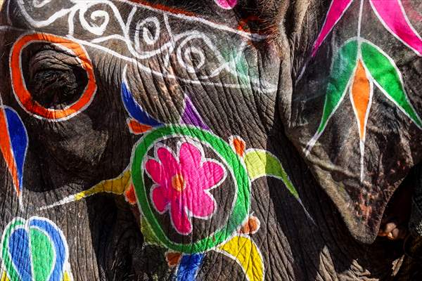 UNESCO World Heritage Site: Historical Amber Fort in India's Jaipur