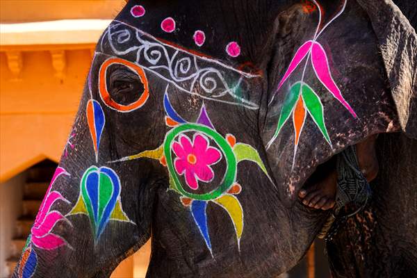 UNESCO World Heritage Site: Historical Amber Fort in India's Jaipur