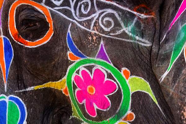 UNESCO World Heritage Site: Historical Amber Fort in India's Jaipur