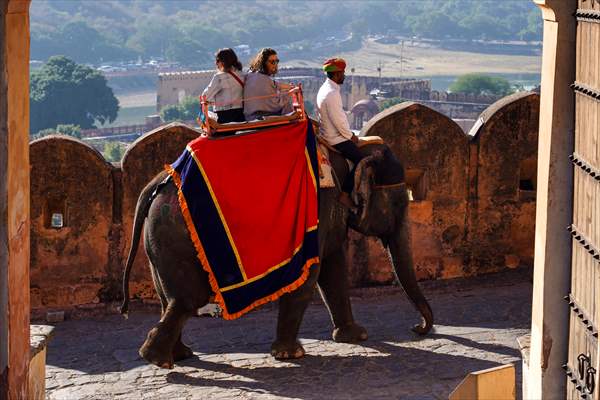 UNESCO World Heritage Site: Historical Amber Fort in India's Jaipur