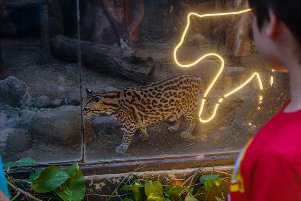 The Zoo of Barranquilla, Colombia pays homage to the Fauna