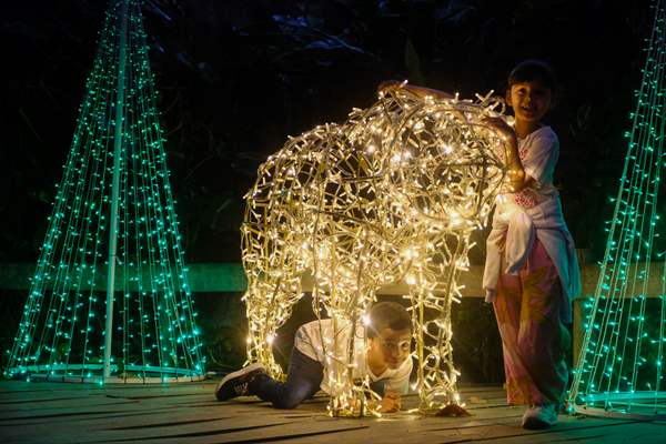 The Zoo of Barranquilla, Colombia pays homage to the Fauna