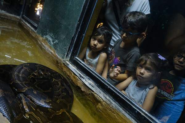 The Zoo of Barranquilla, Colombia pays homage to the Fauna