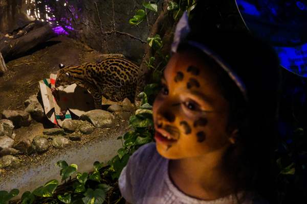 The Zoo of Barranquilla, Colombia pays homage to the Fauna