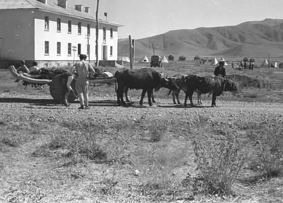 Güneydoğu'dan insan manzaraları