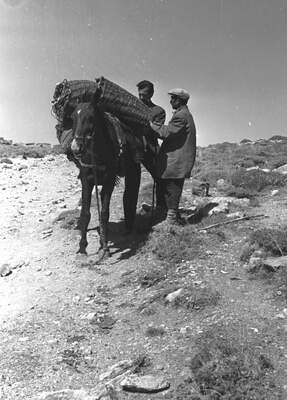 Güneydoğu'dan insan manzaraları