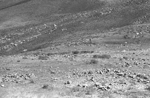 Güneydoğu'dan insan manzaraları