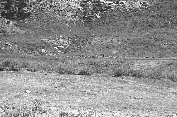 Güneydoğu'dan insan manzaraları