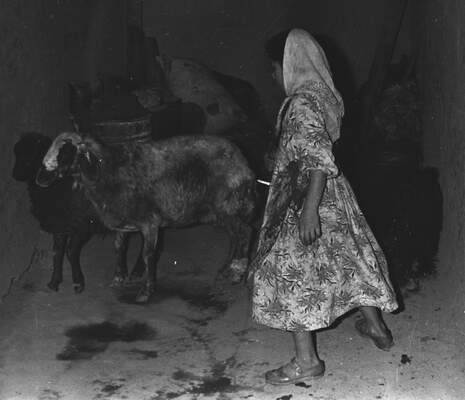 Güneydoğu'dan insan manzaraları