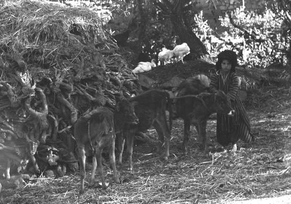 Güneydoğu'dan insan manzaraları