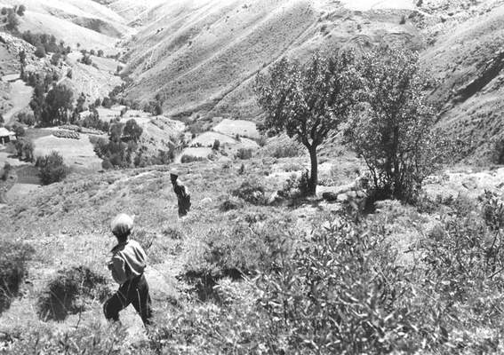 Güneydoğu'dan insan manzaraları