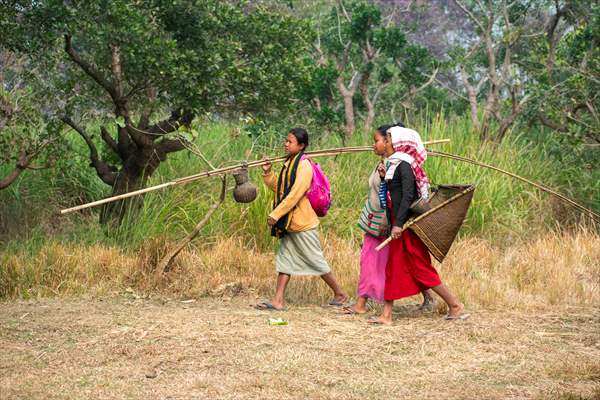 Magh Bihu Festival celebrated in India