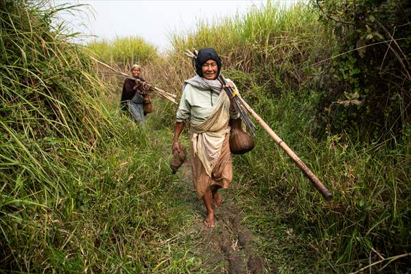 Magh Bihu Festival celebrated in India