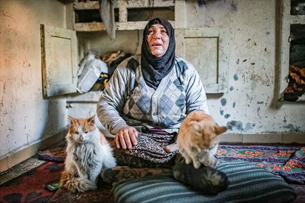 Syrian woman takes care of her cats despite difficult conditions in Idlib
