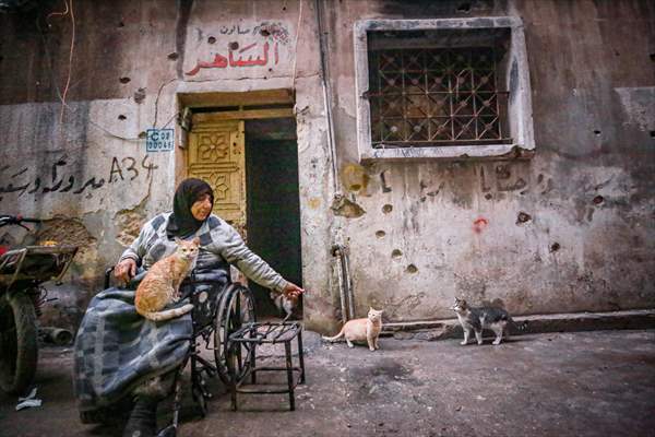 Syrian woman takes care of her cats despite difficult conditions in Idlib