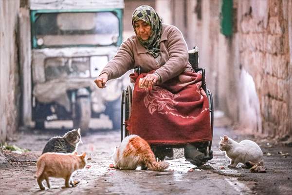 Syrian woman takes care of her cats despite difficult conditions in Idlib