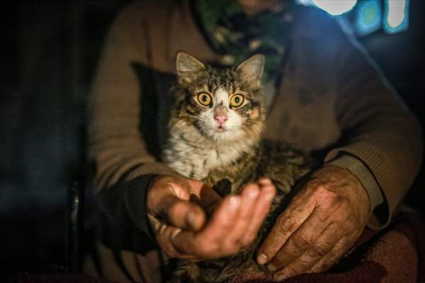 Syrian woman takes care of her cats despite difficult conditions in Idlib