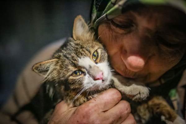 Syrian woman takes care of her cats despite difficult conditions in Idlib