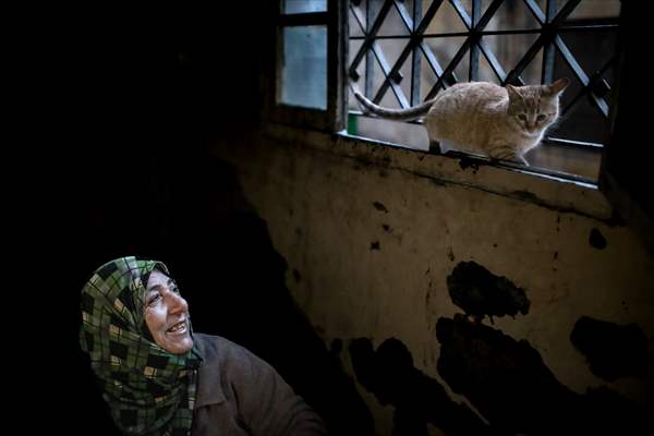 Syrian woman takes care of her cats despite difficult conditions in Idlib