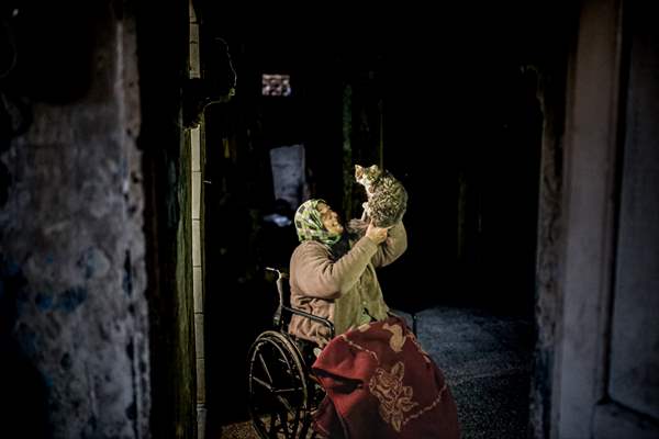 Syrian woman takes care of her cats despite difficult conditions in Idlib