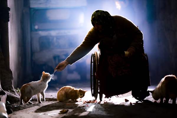 Syrian woman takes care of her cats despite difficult conditions in Idlib