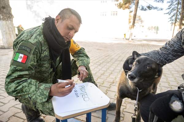 Mexican rescue dog Proteo, who died on duty in earthquake-hit southern Turkiye, buried in Adiyaman