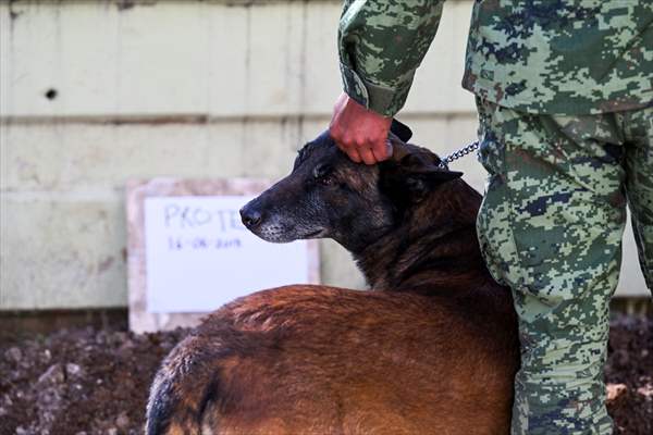 Mexican rescue dog Proteo, who died on duty in earthquake-hit southern Turkiye, buried in Adiyaman