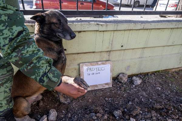 Mexican rescue dog Proteo, who died on duty in earthquake-hit southern Turkiye, buried in Adiyaman