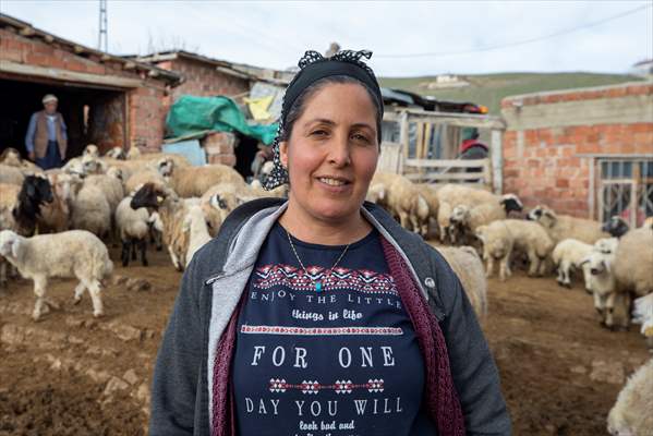 Tunceli'de besiciler 'süt kuzuları'nı özenle büyütüyor