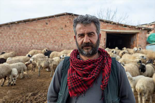 Tunceli'de besiciler 'süt kuzuları'nı özenle büyütüyor