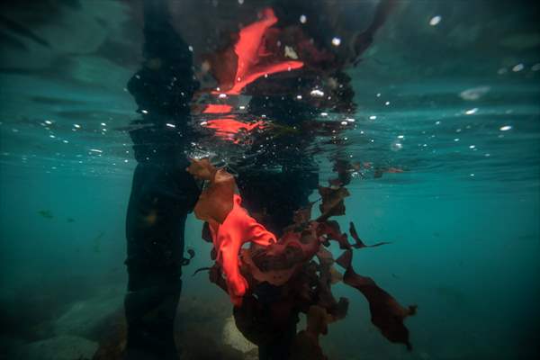 Antarctica: Turkish scientists' South Pole laboratory