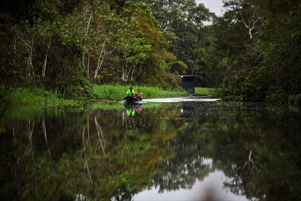 Amazon rainforest in Colombia