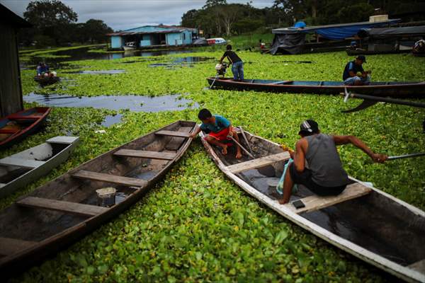 Amazon rainforest in Colombia