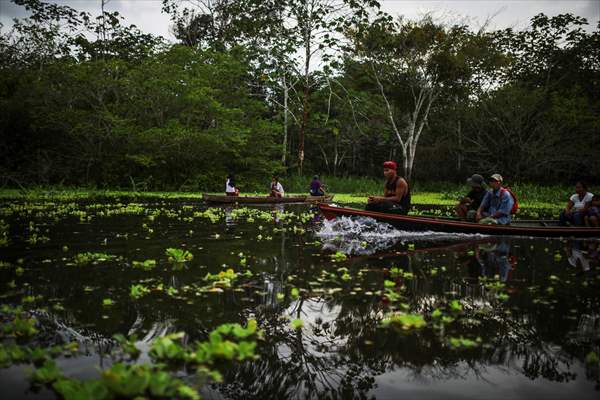 Amazon rainforest in Colombia