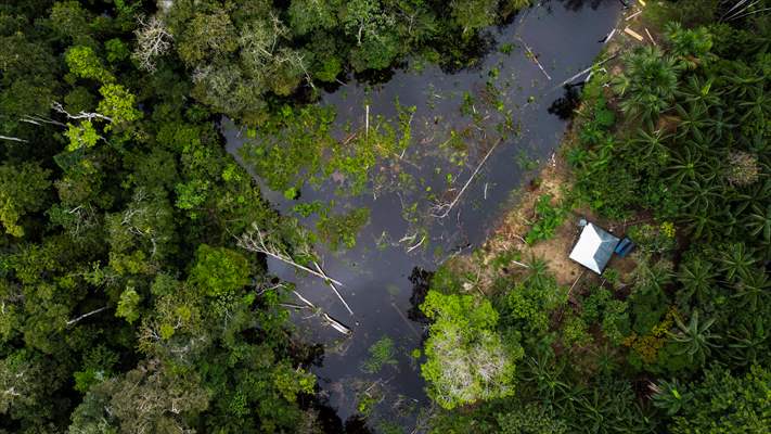 Amazon rainforest in Colombia