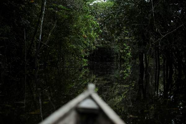 Amazon rainforest in Colombia