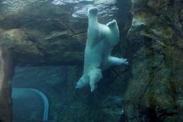 Assiniboine Park Zoo in Winnipeg