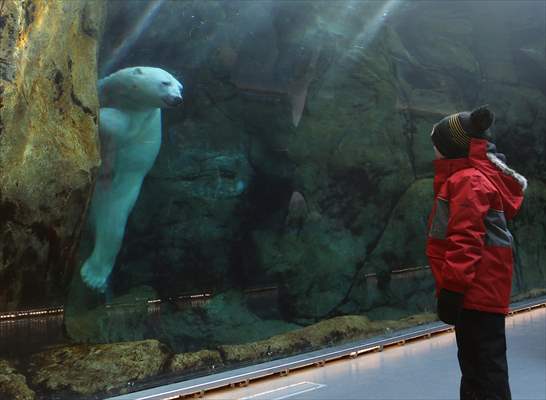 Assiniboine Park Zoo in Winnipeg