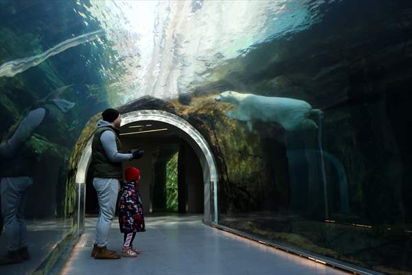 Assiniboine Park Zoo in Winnipeg