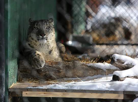 Assiniboine Park Zoo in Winnipeg