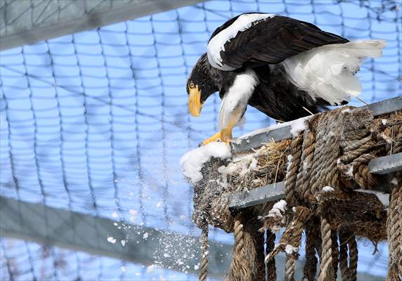 Assiniboine Park Zoo in Winnipeg