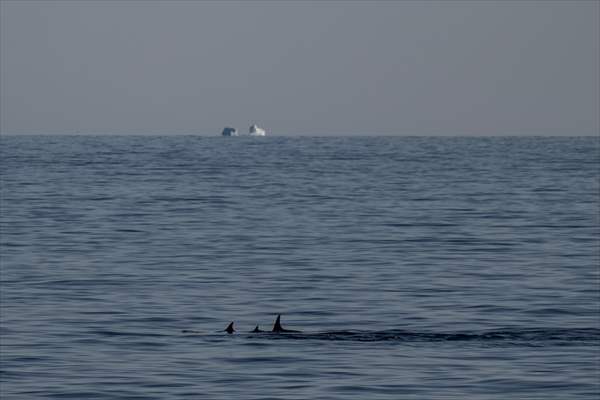 Turkish scientists conduct researches on Antarctica's pollution to protect animals and environment