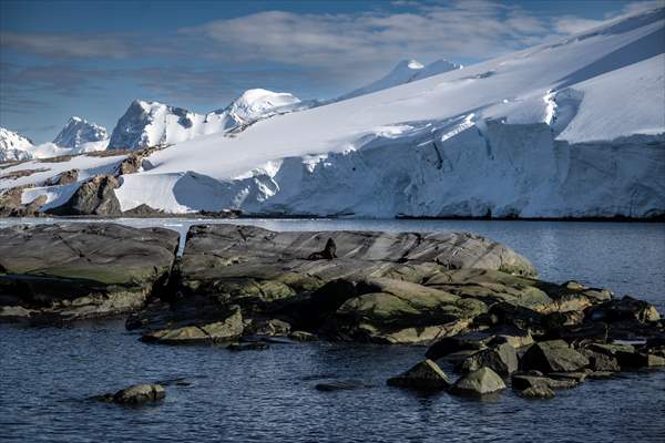 Turkish scientists conduct researches on Antarctica's pollution to protect animals and environment