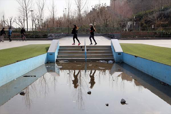 Iranian female trainer's passion for kick-boxing