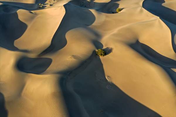 Mesquite Flat Sand Dunes in California