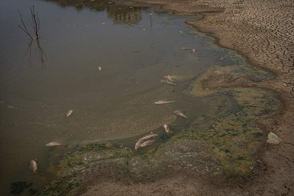 Water drought dried up reservoirs in Spain's Cordoba region